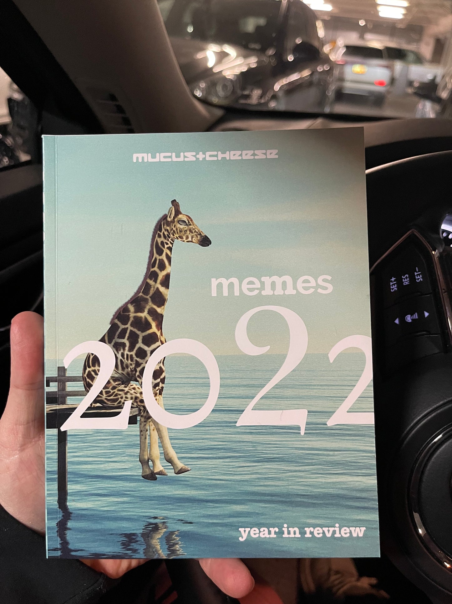 2022 Year in Review: Memes